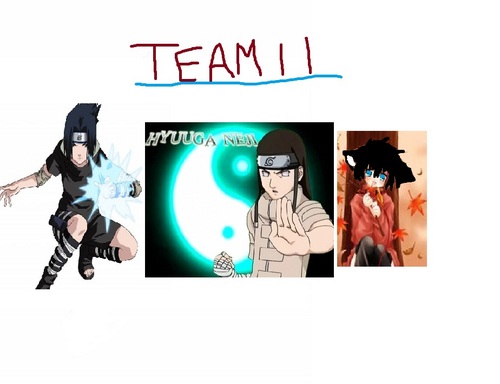  team 11