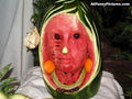 Funny Watermelon Pics - biggerstaff-family photo