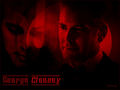 George-Clooney  - george-clooney photo
