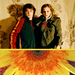 HP icons <3 - harry-potter icon