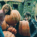 HP icons <3 - harry-potter icon