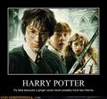 Harry Potter Demotivational Photos - biggerstaff-family photo