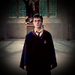 Harry Potter and the Order of the Phoenix - harry-potter icon