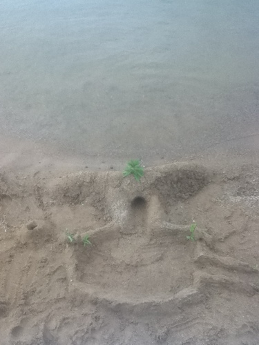 I built a sand castle