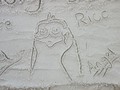 Rico in the Sand - penguins-of-madagascar fan art