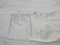 Skipper in the Sand - penguins-of-madagascar fan art
