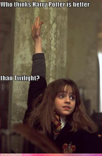  Who thinks Harry Potter is better than Twilight?