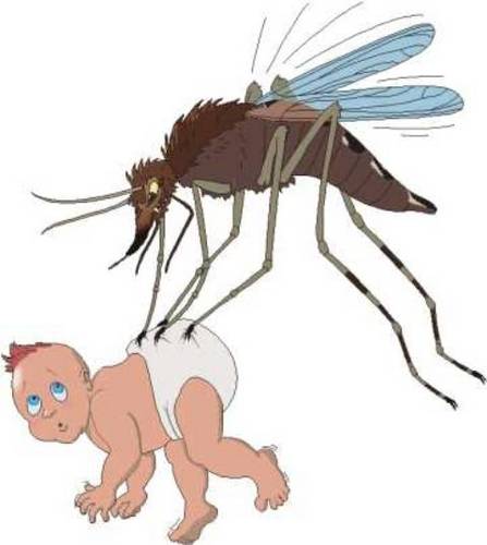  funny mosquitoe