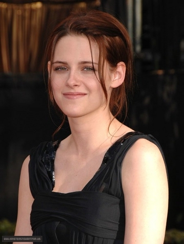 2008: 14th Annual Screen Actors Guild Awards.