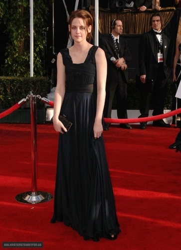 2008: 14th Annual Screen Actors Guild Awards.