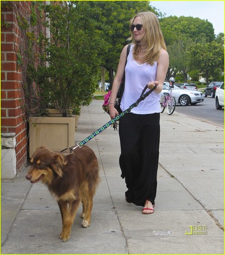  Amanda Seyfried: Sheer Stroll with Finn