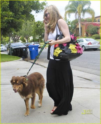  Amanda Seyfried: Sheer Stroll with Finn