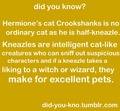 Croockshanks is no Ordinary Cat - harry-potter photo