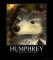 Domotivational Angry Humphrey - alpha-and-omega fan art