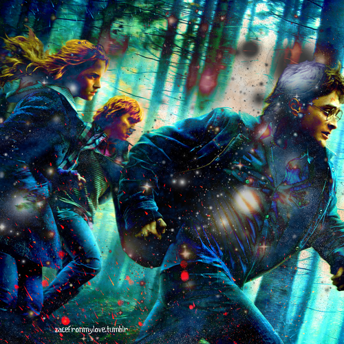 Harry, Ron& Hermione