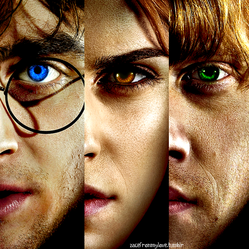  Harry, Ron& Hermione
