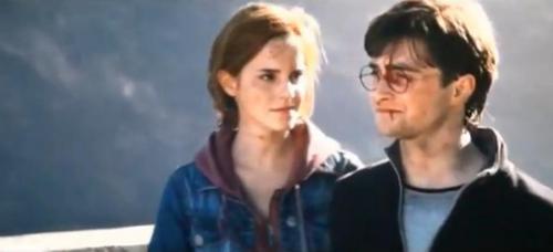  Harry and Hermione on the bridge after the battle