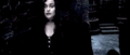 Helena as Bellatrix - helena-bonham-carter photo