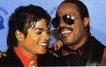 Michael Jackson <3 ~(niks95) - michael-jackson photo