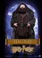 Philosopher's Stone Character Poster - Hagrid - harry-potter photo