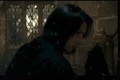 Severus Snape  - harry-potter photo
