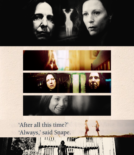  Snape/Lily
