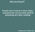 Sneezing while Sleeping - random photo
