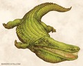  Stomatosuchus