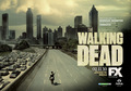 The Walking Dead Season 1 - International Posters - Greece - the-walking-dead photo