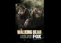 The Walking Dead Season 1 - International Posters - Latin America - the-walking-dead photo