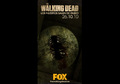 The Walking Dead Season 1 - International Posters - Spain 2 - the-walking-dead photo