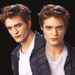 Twilight icons! - twilight-series icon