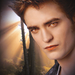 Twilight icons! - twilight-series icon