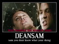 dean&sam - supernatural fan art