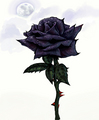 Black Rose - black-roses fan art