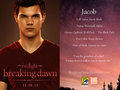 Breaking Dawn Comic - Con Cards - twilight-series photo