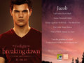 Breaking Dawn part 1 - twilight-series wallpaper