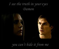 Elena and Damon - damon-salvatore photo