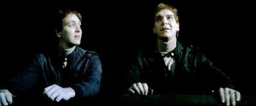  Fred and George DH2