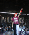 Paramore on Vans Warped Tour 2011 - paramore photo