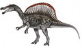 Spinosaurus