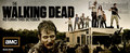 The Walking Dead - 2011 Comic-Con Poster - the-walking-dead photo