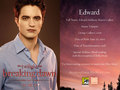 Three new 'Breaking Dawn' Comic-Con promo character cards revealed - edward-cullen photo