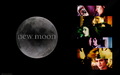 twilight-series - new moon wallpaper wallpaper