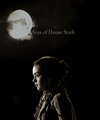 Arya Stark  - game-of-thrones fan art