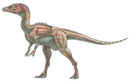  Eoraptor lunensis