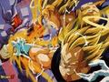 Goku and Vegeta - dragon-ball-z photo