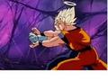 Goku and Vegeta - dragon-ball-z photo