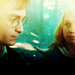 HP; - harry-potter icon