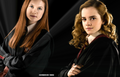 Harry Potter and the Half-Blood Prince - harry-potter fan art